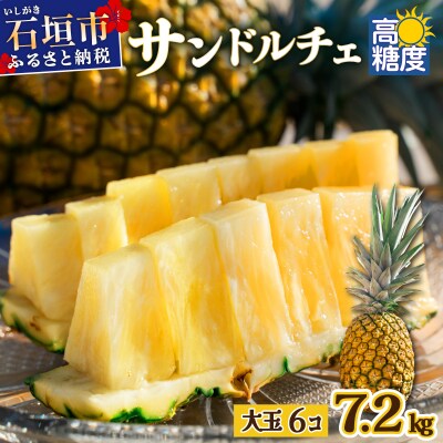 【先行受付】《2025年夏季 順次発送》サンドルチェ大玉6個 計7.2kg