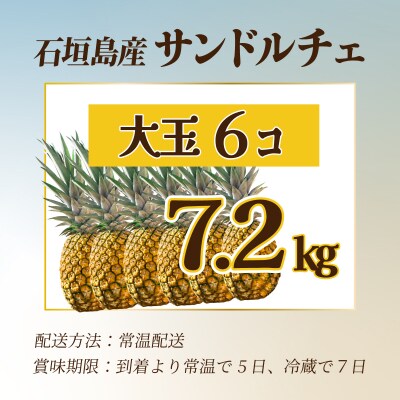 【先行受付】《2025年夏季 順次発送》サンドルチェ大玉6個 計7.2kg