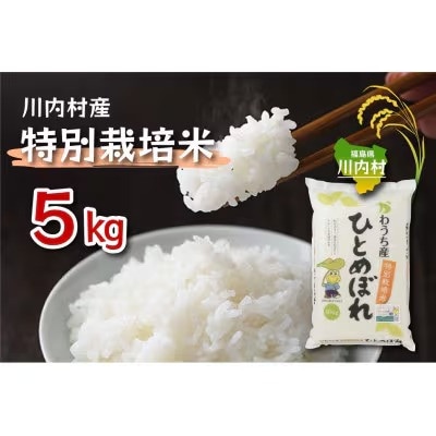 令和7年かわうち産 特別栽培米 ひとめぼれ 5kg