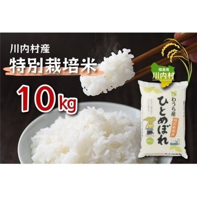 令和7年かわうち産 特別栽培米 ひとめぼれ 10kg