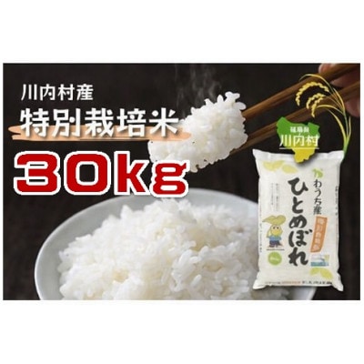令和7年かわうち産 特別栽培米 ひとめぼれ 30kg
