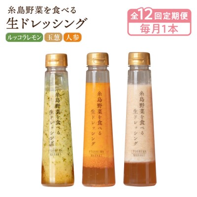 全12回定期便野菜を食べる生ドレッシング3種(人参/玉葱/大根と大葉)[AQA037]