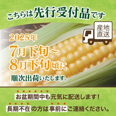 【先行受付】北海道十勝芽室町 スイートコーンゴールドラッシュ10本 me001-003c-25