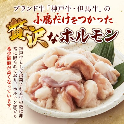 ヒライ牧場 ホルモン 小腸 200g[No5698-2235]