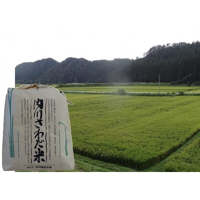 内川さわだ米(あきたこまち精米)5kg 秋田県五城目町産[No.5880-2115]