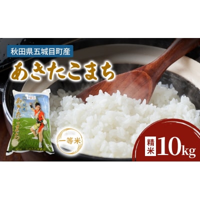 五城目産　一等米・あきたこまち10kg(精米) お米 秋田県産 　[No.5880-3134]