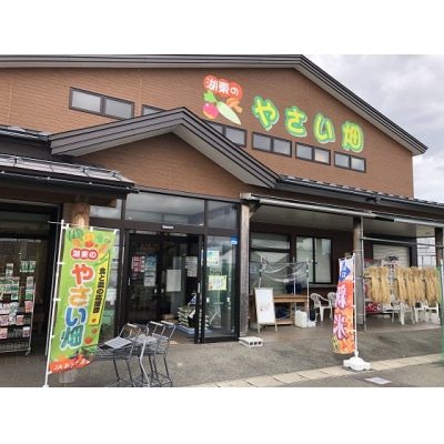 五城目産　一等米・あきたこまち10kg(精米) お米 秋田県産 　[No.5880-3134]