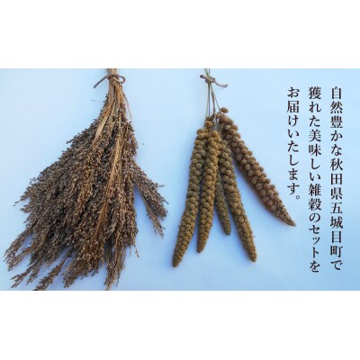 五城目町産 雑穀セット ヒエ・アワ・キビ 各1kg [No.5880-3230]