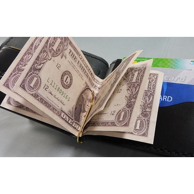 コインケース付　札バサミ(ブラウン)90×125×20mm[No.5880-3159]