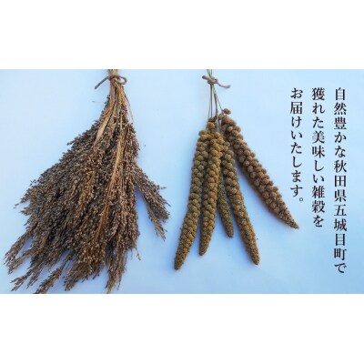 五城目町産　アワ　1kg