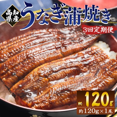 【3回定期便】高知県産養殖うなぎ蒲焼き 100～120g 1尾 Wfb-0034