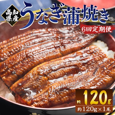 【6回定期便】高知県産養殖うなぎ蒲焼き 100～120g 1尾 Wfb-0035