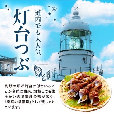 浜茹でつぶ貝 500g【er001-117】