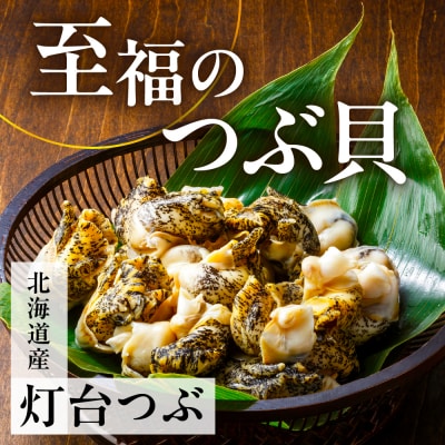 浜茹でつぶ貝 500g【er001-117】
