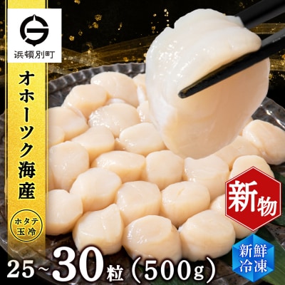 ホタテ 北海道産 冷凍 貝柱 500g(250g×2個セット)【頓別漁業協同組合】 ほたて 帆立