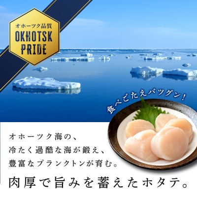 ホタテ 北海道産 冷凍 貝柱 500g(250g×2個セット)【頓別漁業協同組合】 ほたて 帆立