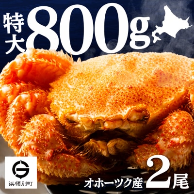 ☆北海道産 毛ガニ 約800g×2尾 セット かに 蟹 毛蟹 冷凍 北海道産 浜頓別町