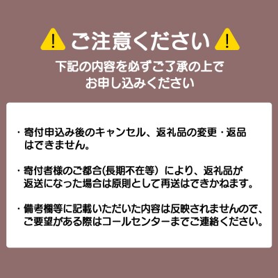 【定期便12カ月】全粉乳 700g 6袋 よつ葉 業務用 ミルク パウダー