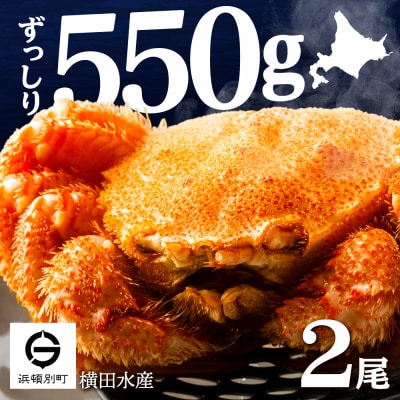 ☆北海道産 毛ガニ 約550g×2尾 セット かに 蟹 毛蟹 冷凍 北海道産 浜頓別町