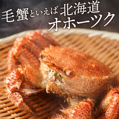 ☆北海道産 毛ガニ 約550g×2尾 セット かに 蟹 毛蟹 冷凍 北海道産 浜頓別町