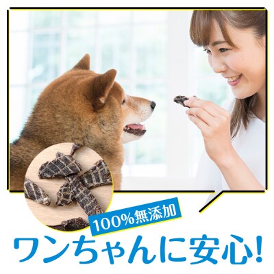 定期便 全4回 お楽しみ 犬 おやつ 無添加 国産 エゾ鹿肉 ジャーキー (150g) ドッグフード