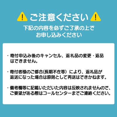 定期便 全4回 お楽しみ 犬 おやつ 無添加 国産 エゾ鹿肉 ジャーキー (150g) ドッグフード