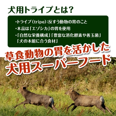 乾燥ホルモントライプ　20g×2袋