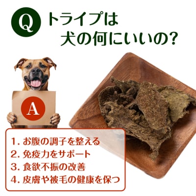 乾燥ホルモントライプ　20g×2袋