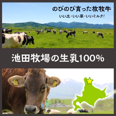 放牧牛 アイスクリーム 食べ比べセット(ミルク2個・イチゴ1個・そばの実1個・チョコ1個・レモン仕立