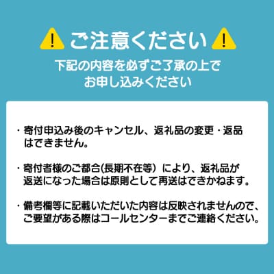 スロービーフ　ビーフウインナー×4袋【杉山牧場】