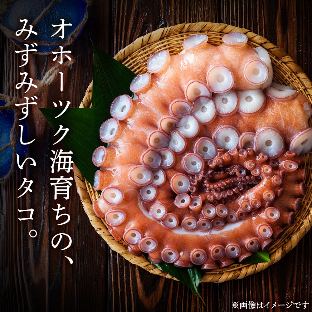 浜頓別町プレミアム　タコ三選(タコ柔らか煮・タコバジル・タコザンギ)【株式会社シーグレイセス】