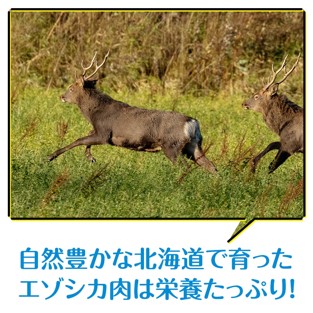 犬 おやつ 無添加 国産  エゾ鹿肉 ジャーキー (150g) 犬用