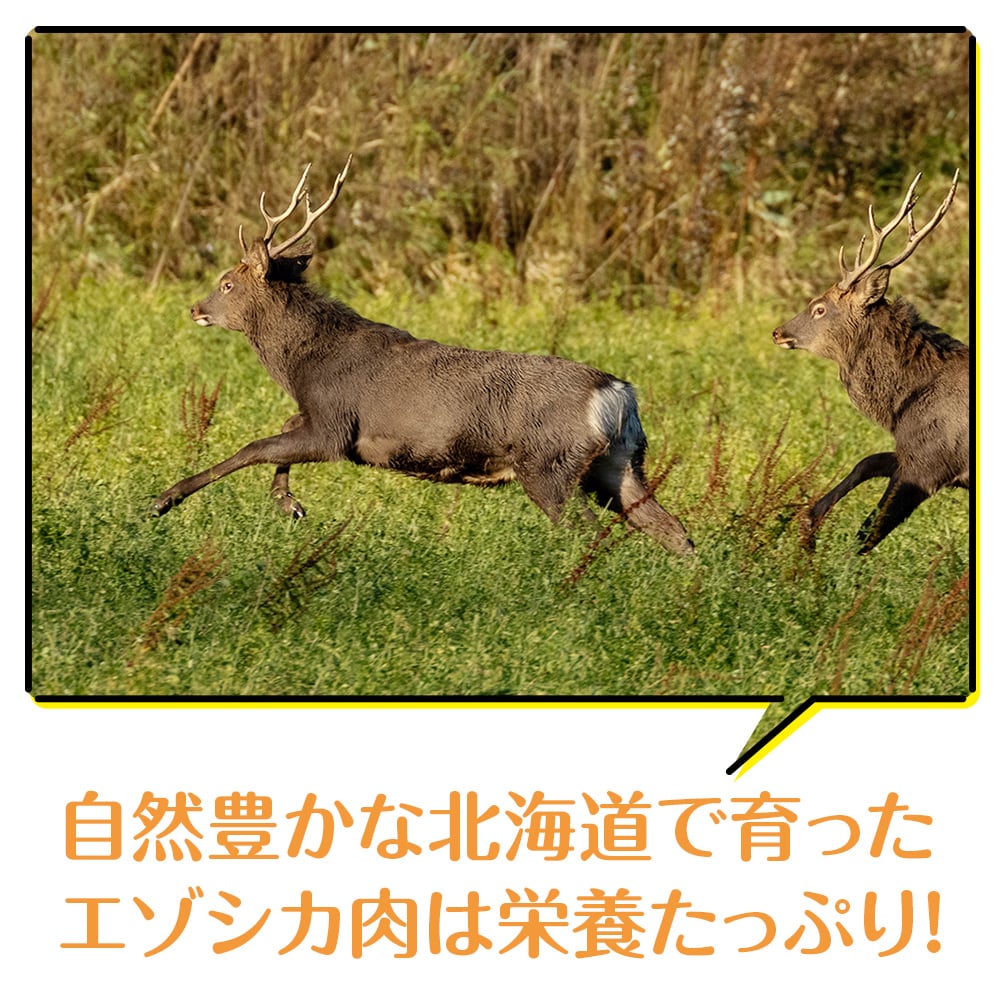 犬 おやつ 無添加 国産  エゾ鹿 アキレス ジャーキー (100g)  犬用
