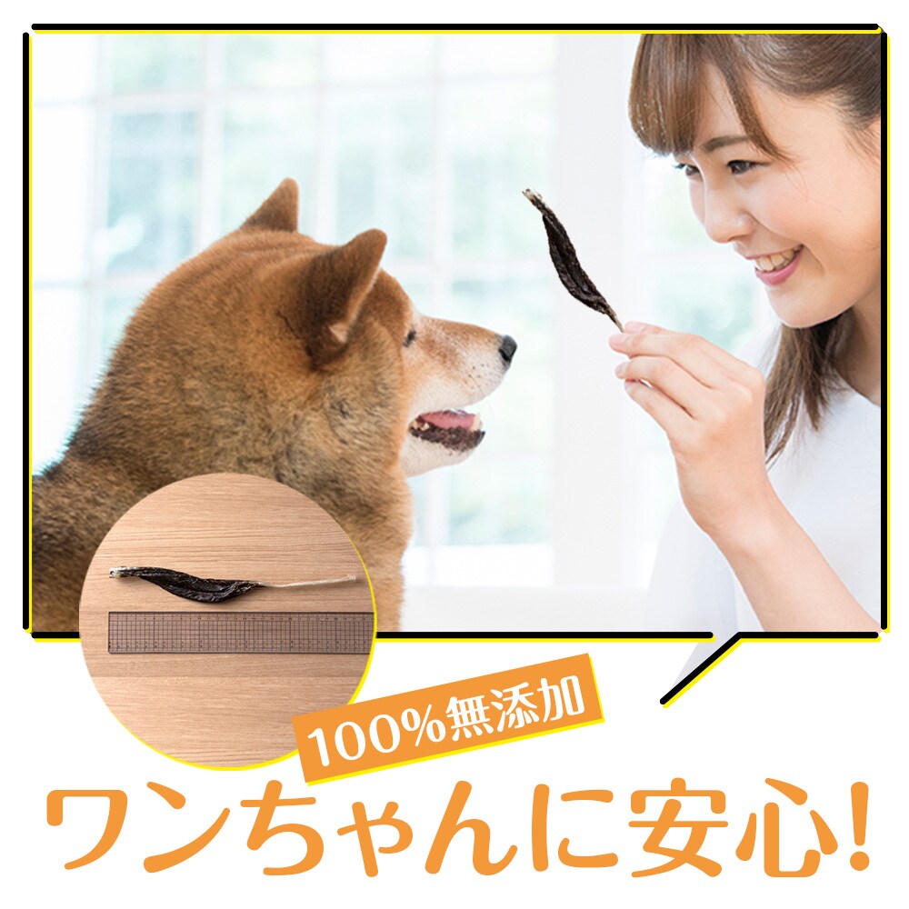 犬 おやつ 無添加 国産  エゾ鹿 アキレス ジャーキー (100g)  犬用