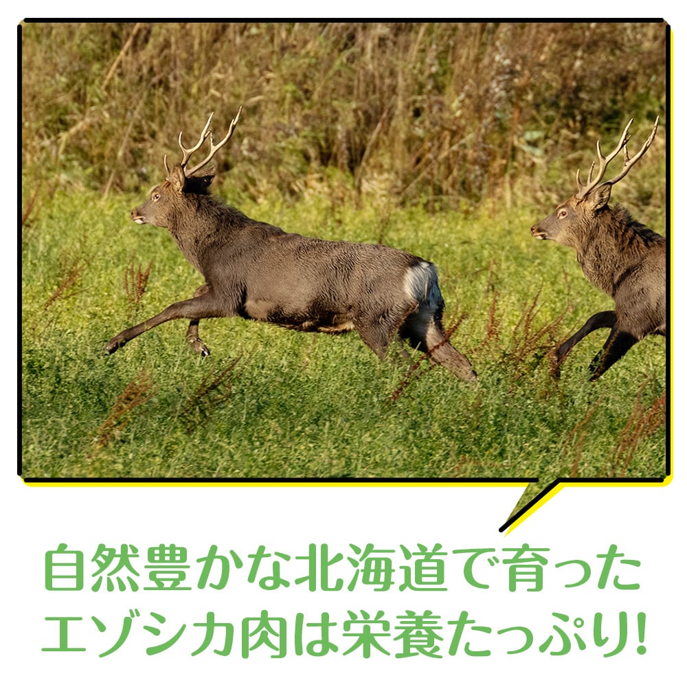 犬 おやつ 無添加 国産  エゾ鹿 アキレス 腱 (50g) 犬用