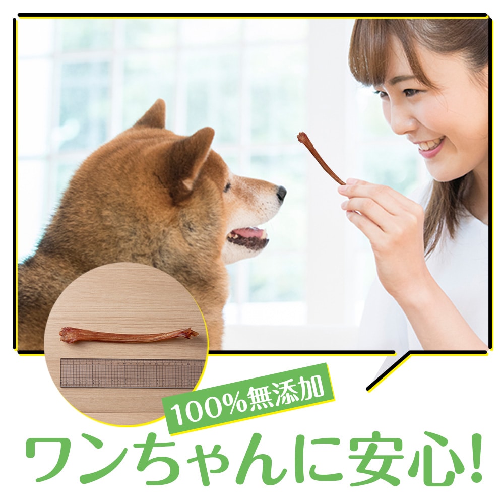 犬 おやつ 無添加 国産  エゾ鹿 アキレス 腱 (50g) 犬用