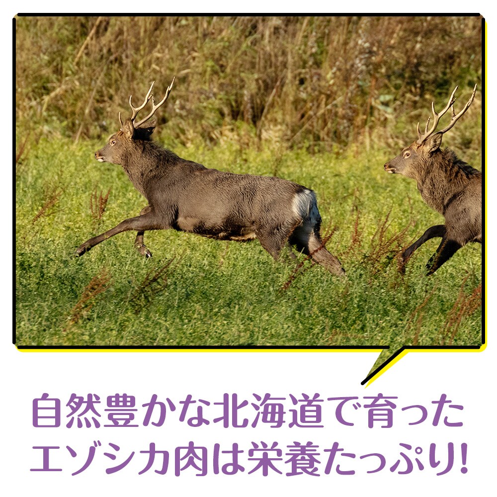 犬 おやつ 無添加 国産  骨 エゾ鹿 肉付き アバラ骨 (150g)犬用