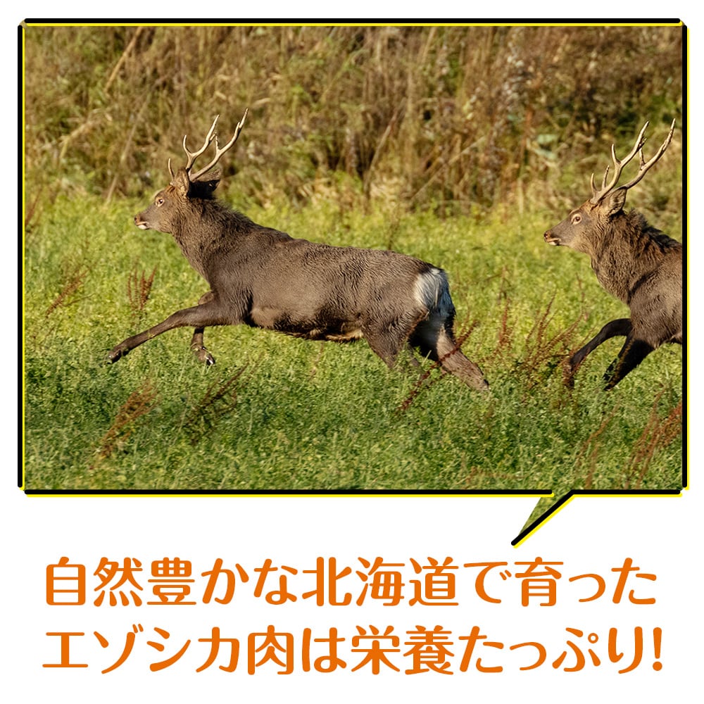 犬 おやつ 鹿肉 無添加 国産 エゾシカ 肉 100% クッキー 80g (40g×2) 