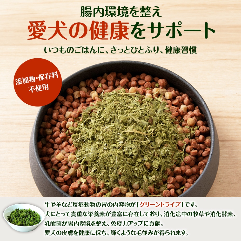犬 おやつ 無添加 国産 乾燥グリーントライプ 80g (20g×4) 