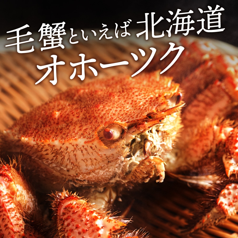 ☆北海道産 毛ガニ 約650g×2尾 セット かに 蟹 毛蟹 冷凍 北海道産 浜頓別町