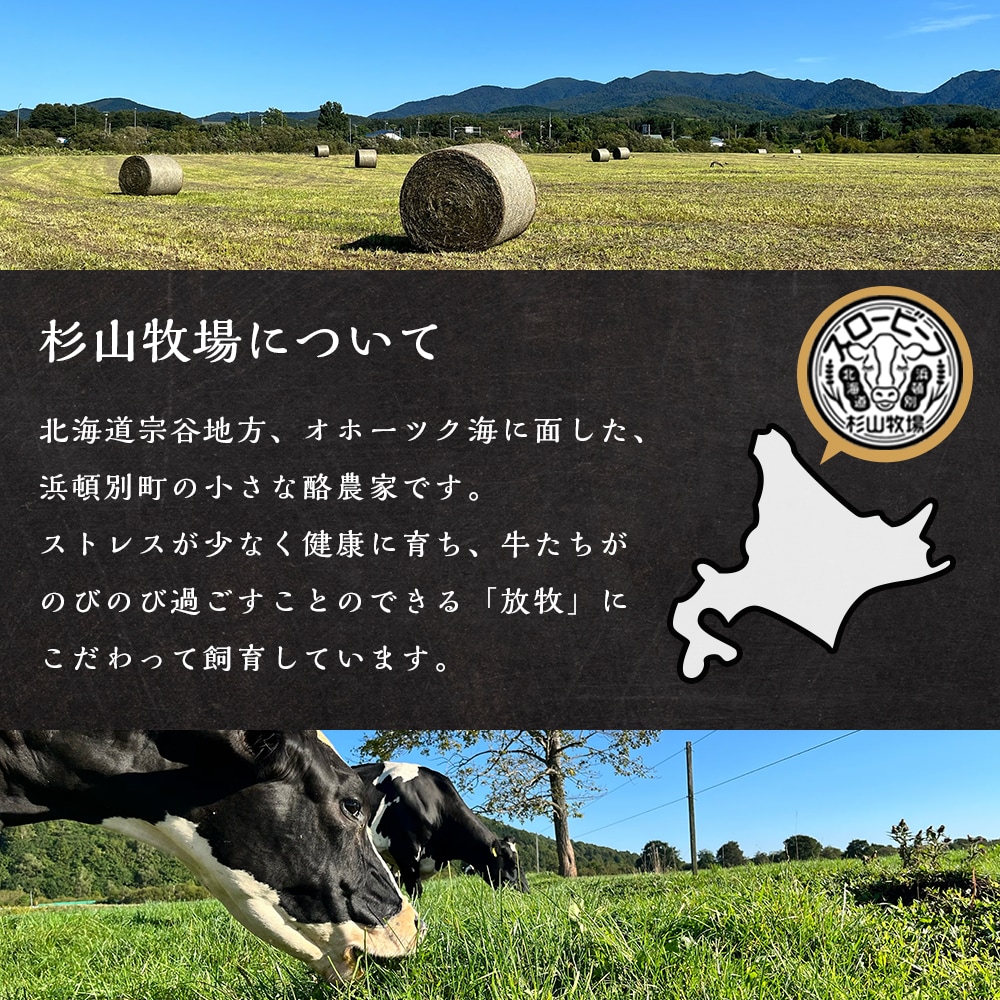 放牧牛 スロービーフ トライプジャーキー犬用120g(30g×4) 杉山牧場 北海道 浜頓別 肉