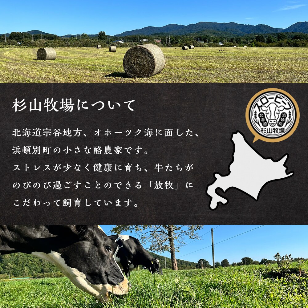 放牧牛 スロービーフ トライプジャーキー犬用240g(30g×8) 杉山牧場 北海道 浜頓別 肉