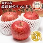 【1月発送】 親子三代最高位のサンふじ 約3kg【平川市広船産りんご】