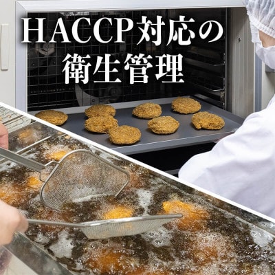 群馬県産メンチカツ10個セット