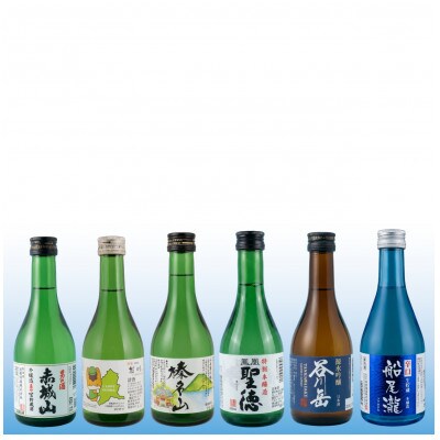 群馬の地酒飲み比べ 6蔵飲み比べセット　300ml×6本