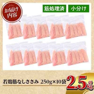 鹿児島県産 若鶏筋なしささみ(計2.5kg・250g×10袋)【TRINITY】K-216