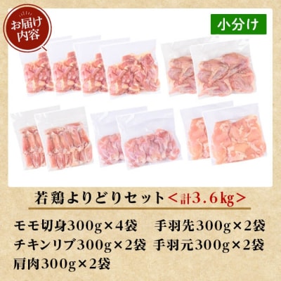 鹿児島県産 若鶏よりどりセット(合計3.6kg)【TRINITY】K-220