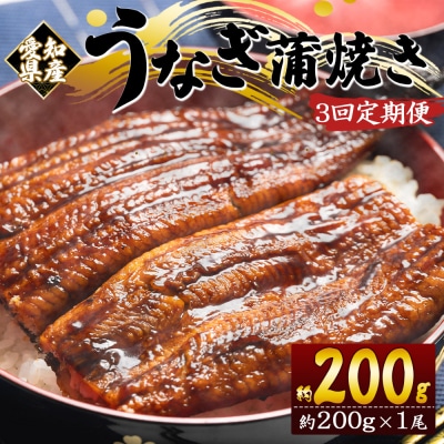 【3回定期便】国産養殖うなぎ蒲焼き 約200g×1尾(愛知県産鰻) Wfb-0070
