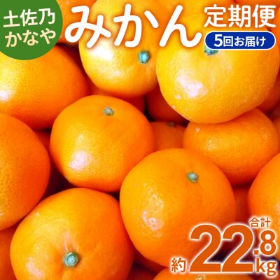土佐乃かなや 数量限定5回定期便 Wbe-0019