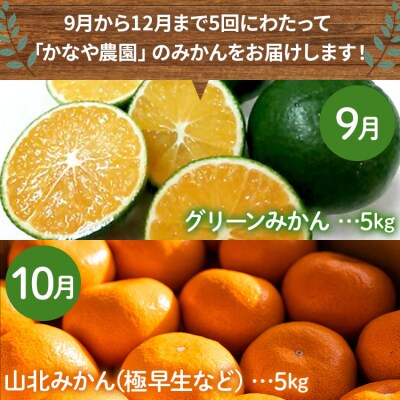 土佐乃かなや 数量限定5回定期便 Wbe-0019